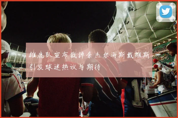 雄鹿队宣布裁掉奈杰尔海斯戴维斯引发球迷热议与期待