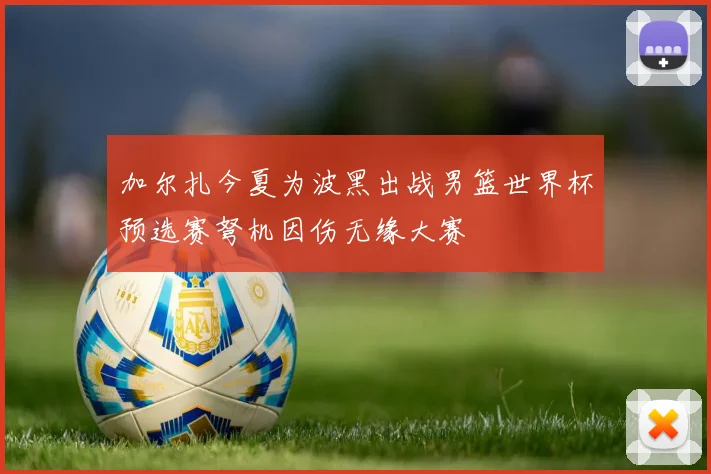 加尔扎今夏为波黑出战男篮世界杯预选赛弩机因伤无缘大赛