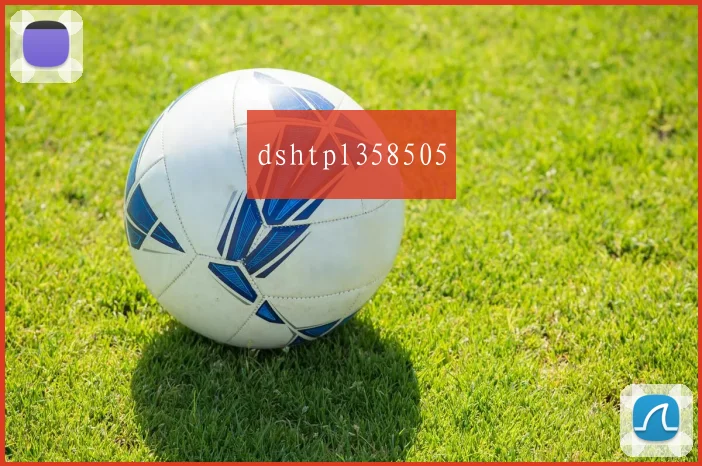 dshtpl358505