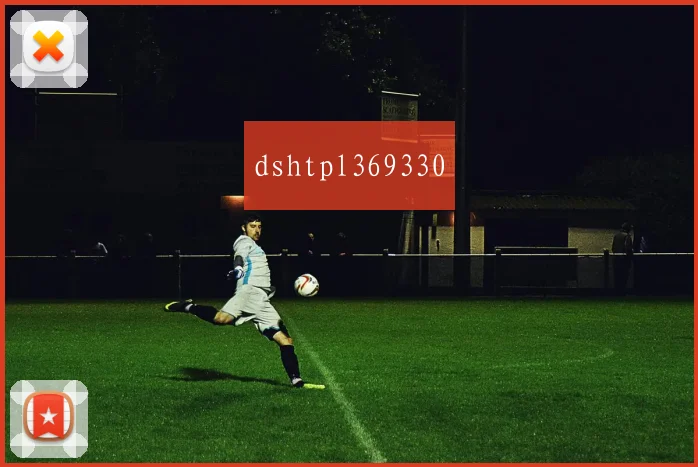 dshtpl369330