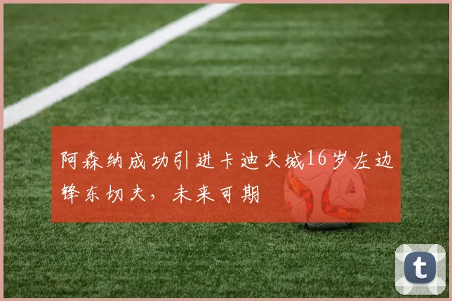 阿森纳成功引进卡迪夫城16岁左边锋东切夫，未来可期